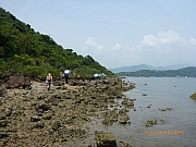 Thumbnail of pic_Wai_084.JPG