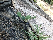 Thumbnail of pic_Thomas_Leung_158.jpg