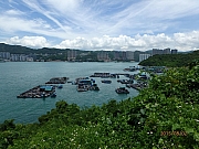 Thumbnail of pic_Thomas_Leung_233.jpg