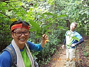 Thumbnail of pic_Wai_014.JPG