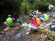 Thumbnail of pic_Wai_064.JPG