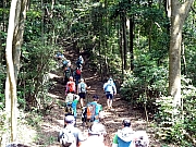 Thumbnail of P8230018.JPG
