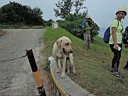 Thumbnail of pic_Amy_Fong_165.JPG