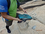 Thumbnail of pic_Thomas_Leung_065.jpg