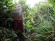 Thumbnail of pic_Thomas_Leung_186.jpg