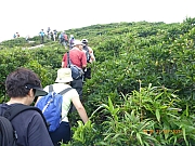 Thumbnail of pic_Wai_039.JPG