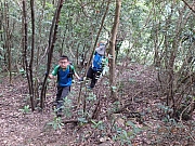 Thumbnail of pic_Thomas_Leung_025.jpg