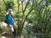 Thumbnail of pic_Wai_008.JPG