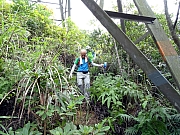 Thumbnail of PA250022.JPG