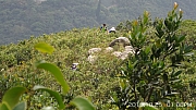 Thumbnail of pic_KC_Leung_119.jpg