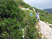 Thumbnail of pic_Wai_065.JPG