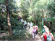 Thumbnail of PB220033.JPG