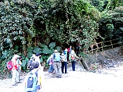 Thumbnail of PB290005.JPG