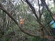 Thumbnail of pic_Wai_084.JPG