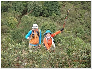 Thumbnail of pic_Thomas_Leung_122.jpg