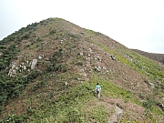 Thumbnail of pic_Amy_Fong_081.JPG