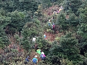 Thumbnail of PC270036.JPG