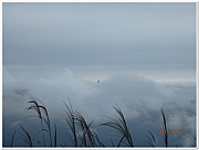 Thumbnail of pic_Thomas_Leung_050.jpg