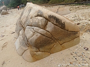 Thumbnail of pic_KC_Leung_093.jpg