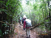Thumbnail of pic_Wai_088.JPG