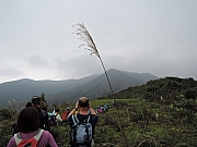 Thumbnail of pic_Amy_Fong_009.JPG