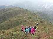 Thumbnail of pic_KK_Lee_016.jpg