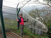 Thumbnail of pic_KK_Lee_101.jpg