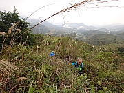 Thumbnail of pic_Thomas_Leung_026.jpg