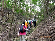 Thumbnail of pic_Wai_119.JPG