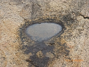 Thumbnail of pic_Wai_156.JPG