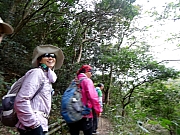 Thumbnail of P1310053.JPG