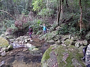 Thumbnail of pic_KC_Leung_021.jpg