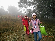 Thumbnail of pic_Sam_Ho_029.jpg