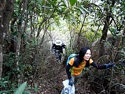 Thumbnail of P2100012.JPG