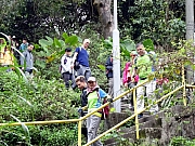 Thumbnail of P2210123.JPG
