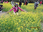 Thumbnail of pic_Eddie_Lui_196.JPG