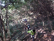 Thumbnail of pic_Thomas_Leung_018.jpg