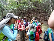 Thumbnail of P3200054.JPG