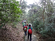 Thumbnail of pic_Billy_Wong_011.JPG