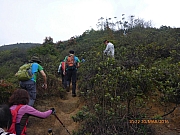 Thumbnail of pic_Wai_029.jpg