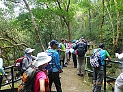 Thumbnail of pic_Thomas_Leung_097.jpg