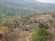 Thumbnail of pic_Wai_064.jpg