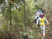 Thumbnail of pic_Wai_071.jpg