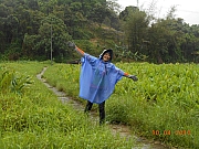 Thumbnail of pic_Sam_Ho_012.jpg