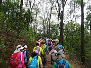 Thumbnail of P4170019.JPG