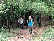 Thumbnail of P4170026.JPG