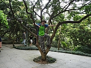 Thumbnail of P4170076.JPG