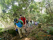 Thumbnail of pic_Sam_Ho_039.jpg