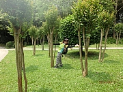 Thumbnail of pic_Thomas_Leung_170.jpg