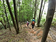 Thumbnail of pic_Wai_086.jpg